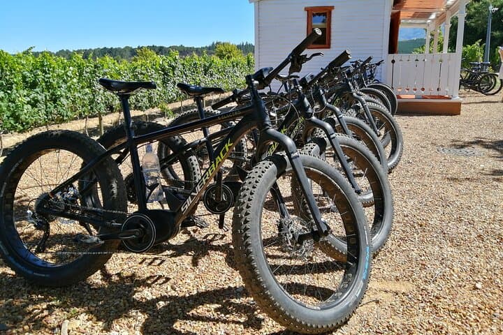 Half-Day E-Bike Wine Tour in Stellenbosch Winelands photo 2