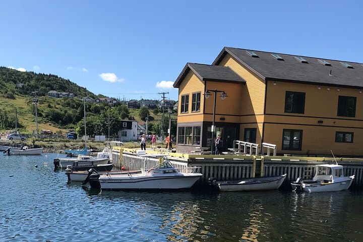 Cod Fishing and Whale Watching from Quidi Vidi Marina photo 3
