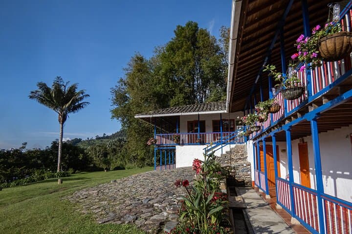 Full-Day Coffee Culture & Conservation Tour: Santuario and San Rafael (Risaralda)