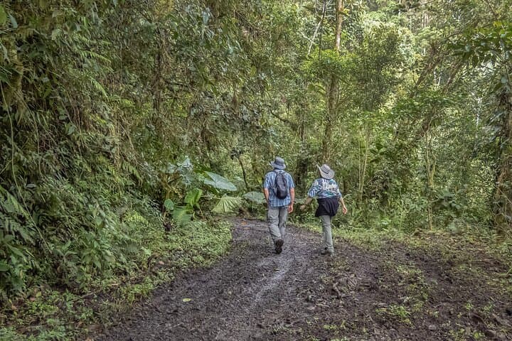Full-Day Coffee Culture & Conservation Tour: Santuario and San Rafael (Risaralda) photo 3