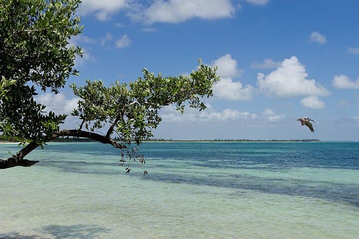 Explore Sian Ka'an: Punta Allen Boat Safari and Reef Snorkel photo 3