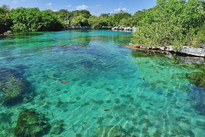 Explore Sian Ka'an: Punta Allen Boat Safari and Reef Snorkel photo 4