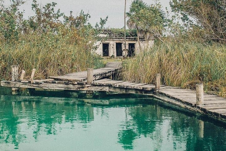 Explore Sian Ka'an: Punta Allen Boat Safari and Reef Snorkel photo 5