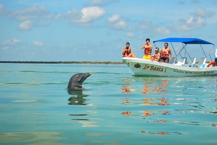 Explore Sian Ka'an: Punta Allen Boat Safari and Reef Snorkel