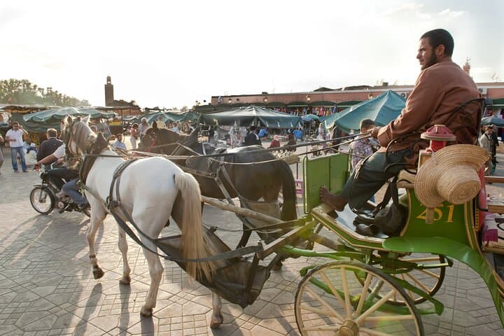 Full-Day Private Driver in Marrakech: Custom City Tours & Atlas Excursions photo 2