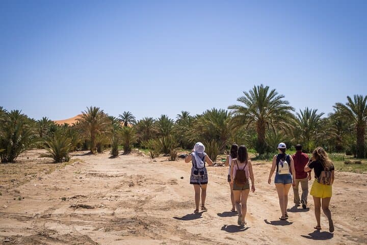 Full-Day Private Driver in Marrakech: Custom City Tours & Atlas Excursions photo 5