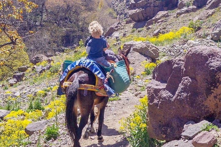 Summit Toubkal: 4-Day Trek From Casablanca Through Berber Villages photo 6