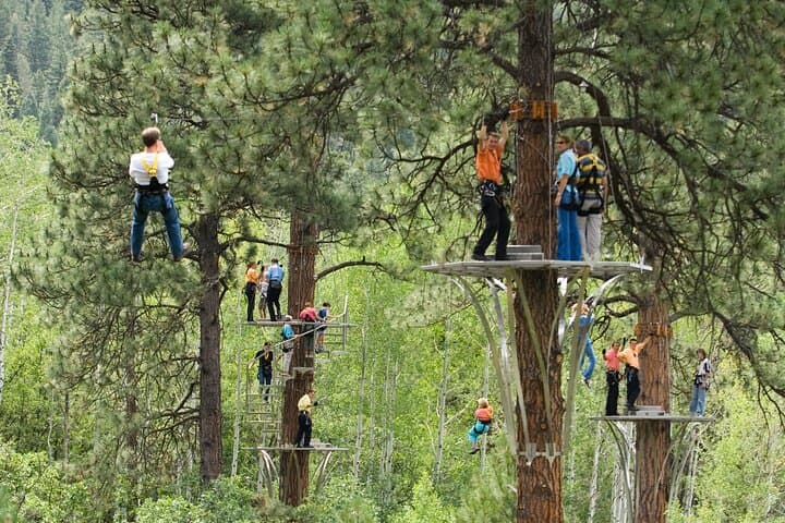 Durango All-Day Zipline and Train Experience: Soaring Over the Animas photo 2
