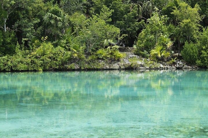 Full-Day Cozumel Adventure: Snorkel, Beginner Scuba & Tequila Tasting at Chankanaab photo 3