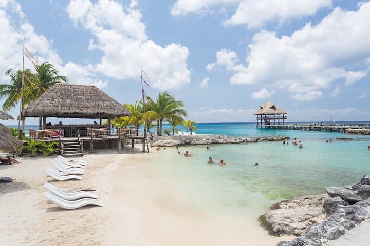 Full-Day Cozumel Adventure: Snorkel, Beginner Scuba & Tequila Tasting at Chankanaab photo 5