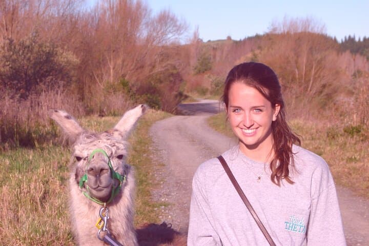 One-Hour Llama Trek Along Kowhai River: Native Woodland & Birdsong photo 2