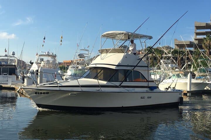 Private 5-Hour Sportfishing Cruise in Cabo San Lucas