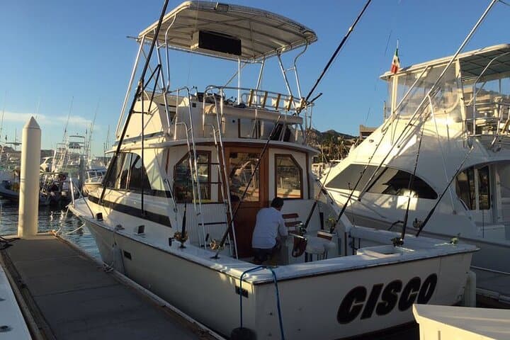 Private 5-Hour Sportfishing Cruise in Cabo San Lucas photo 3