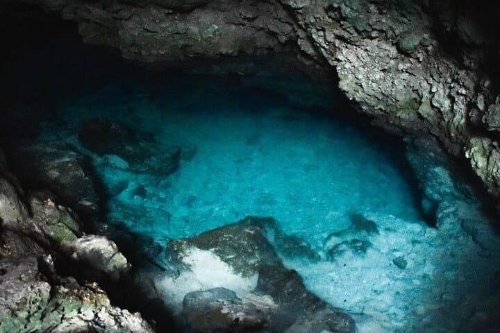 Kuza Cave to Stone Town: 5-Day Zanzibar Highlights — Jozani Monkeys & Salaam Cave Turtles photo 4