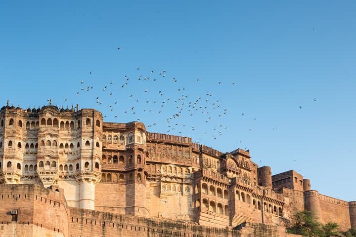 6-Day Jodhpur, Udaipur & Mount Abu Private Tour — Forts, Temples & Lake Rides photo 4
