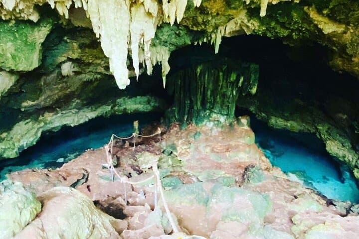 Kuza Cave to Stone Town: 5-Day Zanzibar Highlights — Jozani Monkeys & Salaam Cave Turtles photo 3