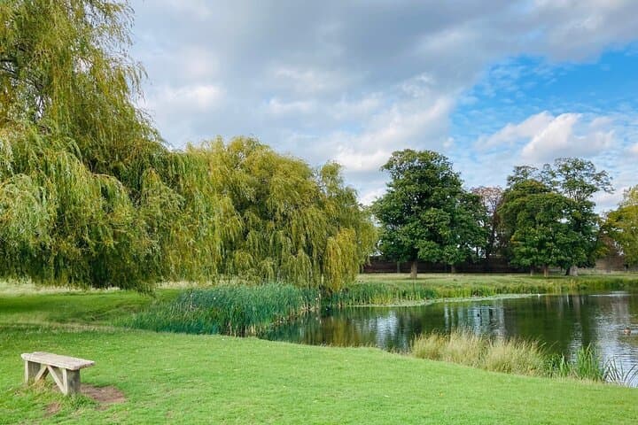 Hampton Court Palace Private Walking Tour — Henry VIII's Royal Residence photo 2