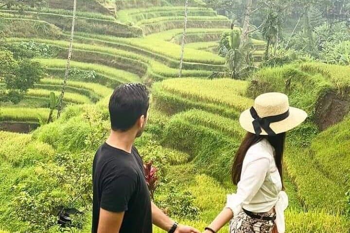 Private Bali Day Tour: Ubud Monkey Forest, Rice Terraces & Lake Temple photo 5
