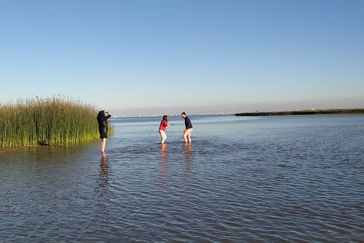 Half-Day Private Boat Safari Through the Tigre Delta