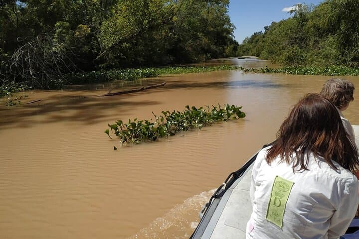 Half-Day Private Boat Safari Through the Tigre Delta photo 6
