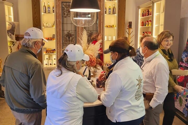 Stellenbosch Wine & Garden Tour: Babylonstoren & Hazendal Cellar Lunch photo 2