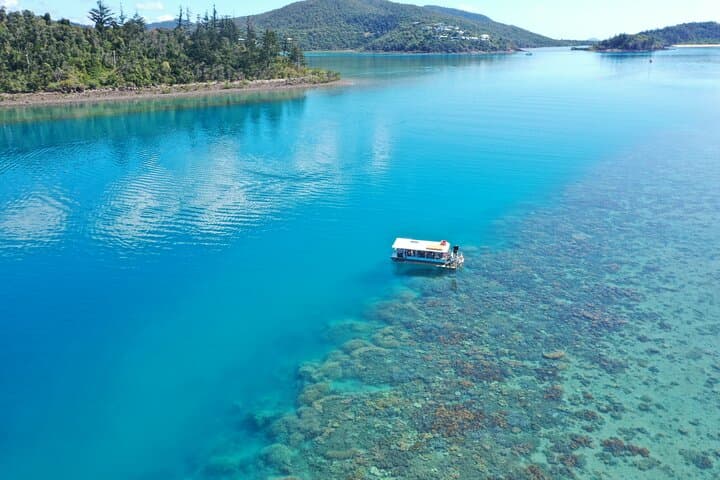 Glass Bottom Boat Tour Whitsundays — Airlie Beach Reef Discovery photo 2