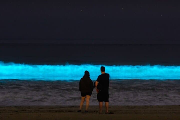Holbox Bioluminescence by Golf Cart: Private Night Tour to See Luminous Waters photo 3