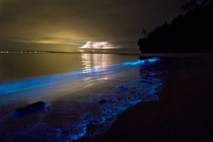 Holbox Bioluminescence by Golf Cart: Private Night Tour to See Luminous Waters photo 4