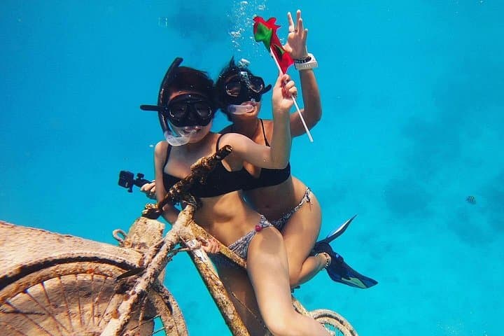 Maafushi Shipwreck Snorkel: Nurse Sharks, Giant Trevally & Dolphin Watching photo 4