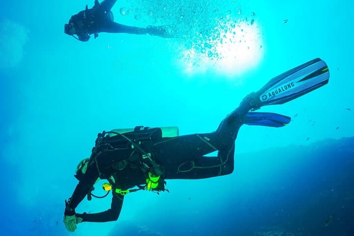 Beginner Scuba in Maafushi: 12m Guided Dives with Photos photo 4