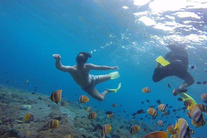 Nusa Penida Snorkeling: Manta Bay, Crystal Bay & Wall Bay Day Trip photo 2