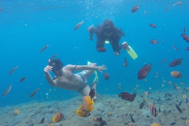 Nusa Penida Snorkeling: Manta Bay, Crystal Bay & Wall Bay Day Trip photo 3