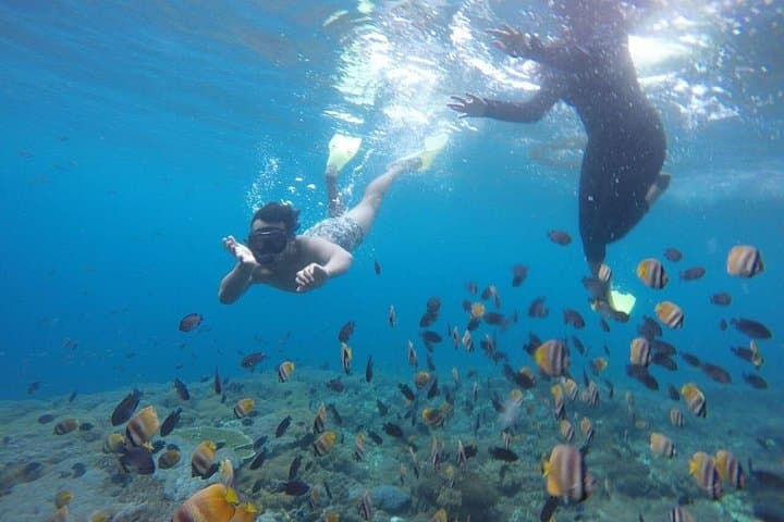 Nusa Penida Snorkeling: Manta Bay, Crystal Bay & Wall Bay Day Trip photo 4