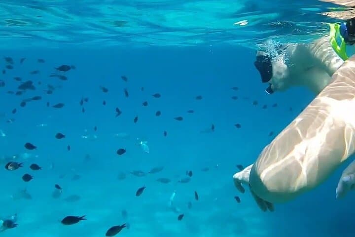 Blue Lagoon Snorkel from Paphos: 1-Hour Swim & Transfer to Latchi