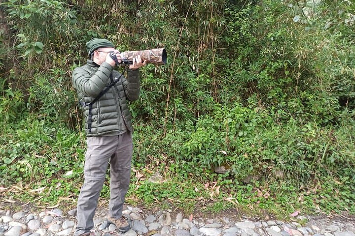 Birdwatching in Cajas National Park: Full-Day Tour from Cuenca photo 5