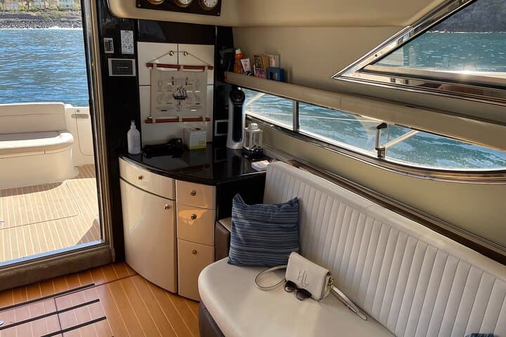 Luxury Yacht Whale & Dolphin Watching from Las Galletas, Tenerife photo 5