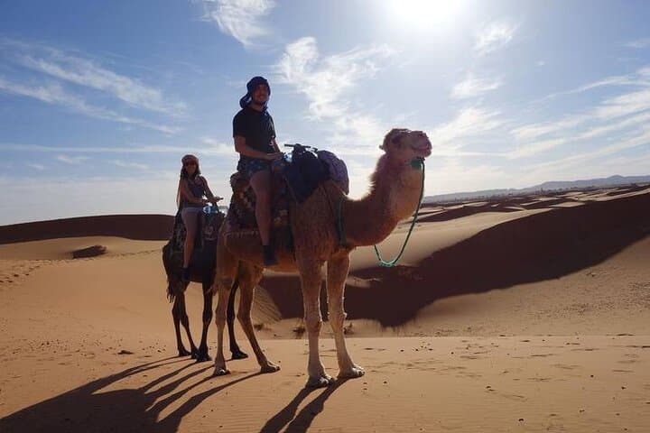 Sunset Camel Ride in Merzouga Dunes: 2-Hour Desert Experience photo 2