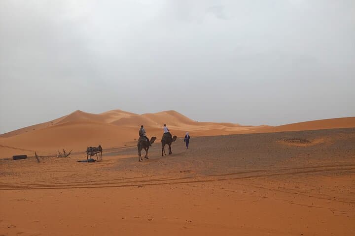 Sunset Camel Ride in Merzouga Dunes: 2-Hour Desert Experience photo 3