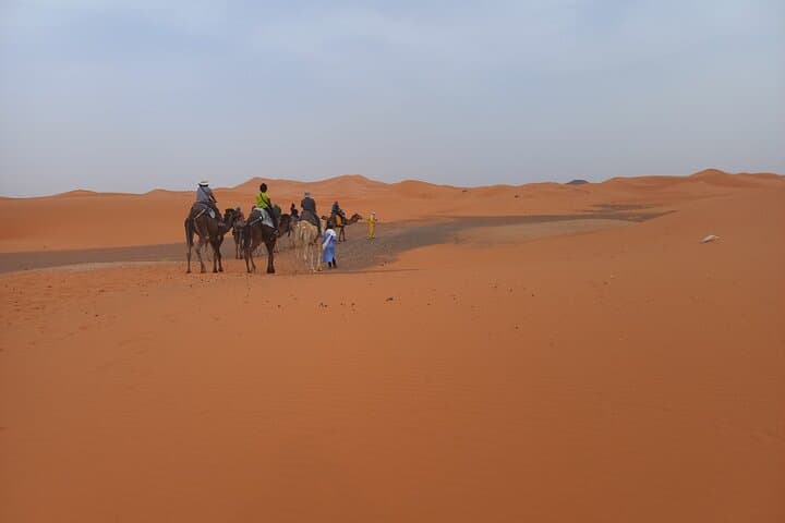 Sunset Camel Ride in Merzouga Dunes: 2-Hour Desert Experience photo 4
