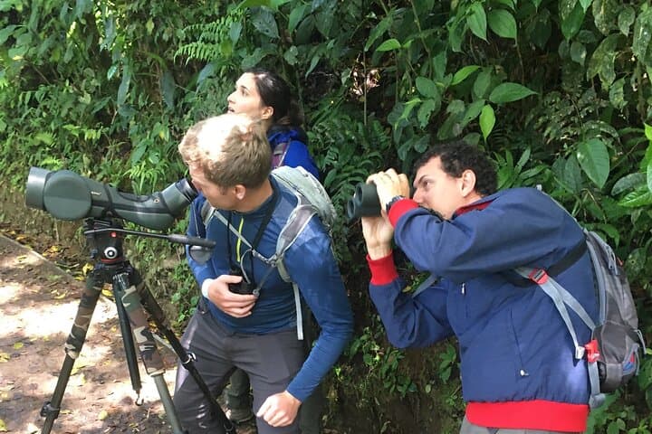 Birdwatching in Monteverde: Curi-Cancha Cloud Forest Tour photo 2