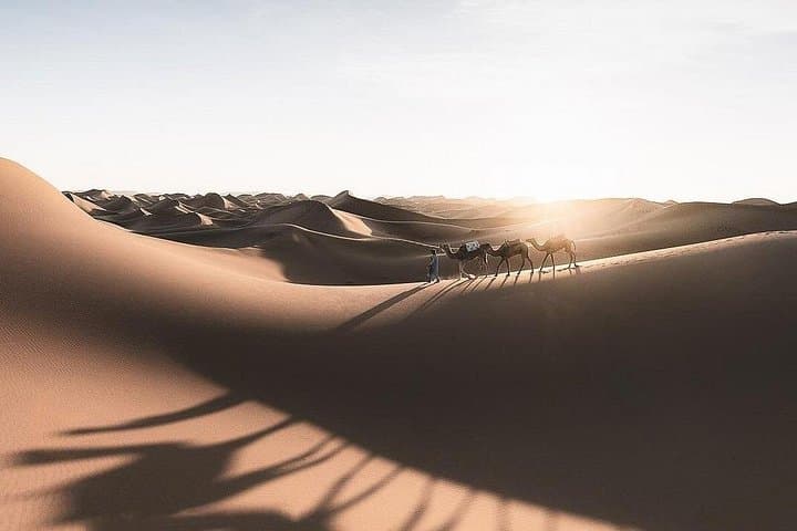 Fes to Marrakech 3-Day Desert Tour: Erg Chebbi Camels, Kasbahs & Atlas Pass photo 4