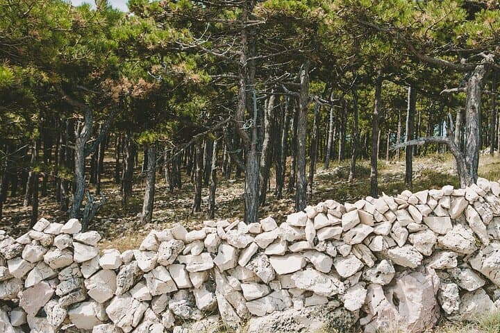 Soar Over Krk: Zipline Experience with Views of Baška and Prvić photo 4