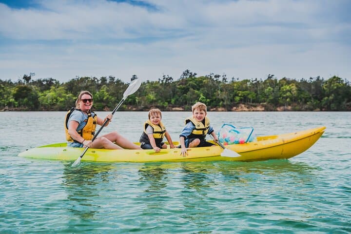Sunset Kayak Eco Tour in Coffs Harbour with a Marine Scientist