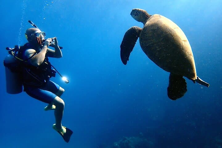 Private Scuba Diving Adventures in Maui: Personalized Ocean Exploration