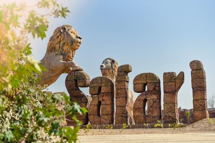 Lion Safari and Taj Mahal Overnight Tour from Delhi