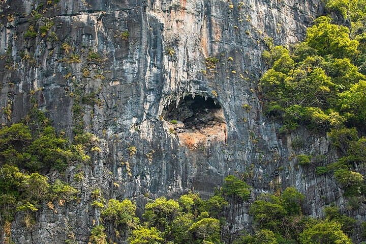 Phi Phi, Maya Bay & Khai: Speed Catamaran Day Trip from Khao Lak photo 6