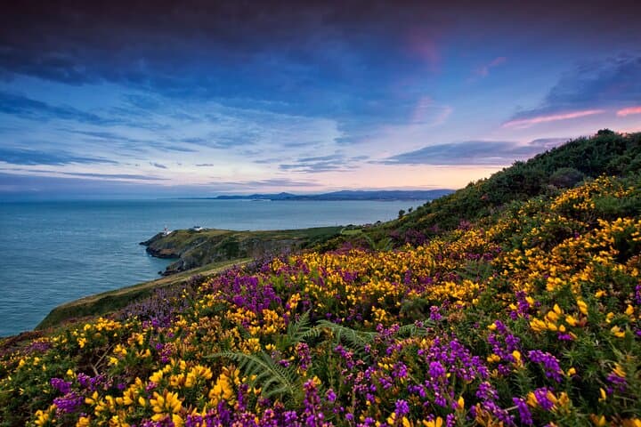 Howth Coastal Half-Day Tour from Dublin: Cliffs, Village & Guided Walk photo 4