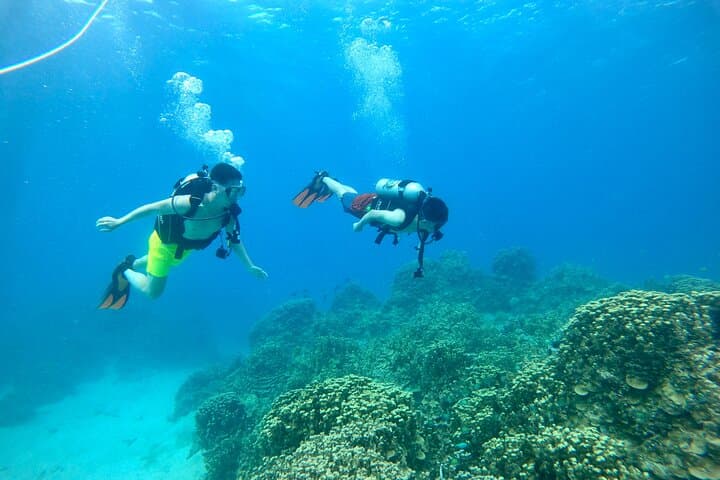 Tumon Bay SUP Lesson and Guided Scuba: Beginner-Friendly Reef Adventure photo 4