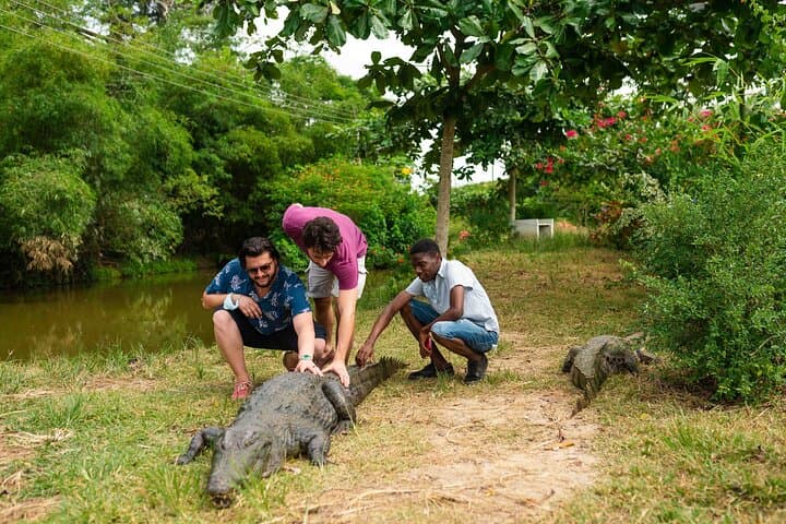 Cape Coast Castle and Kakum Canopy Walk: Day Tour from Accra photo 4
