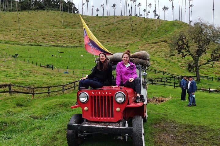 Hike Cocora Valley & Salento: Wax Palms, Coffee Farms, and Andean Trails photo 3